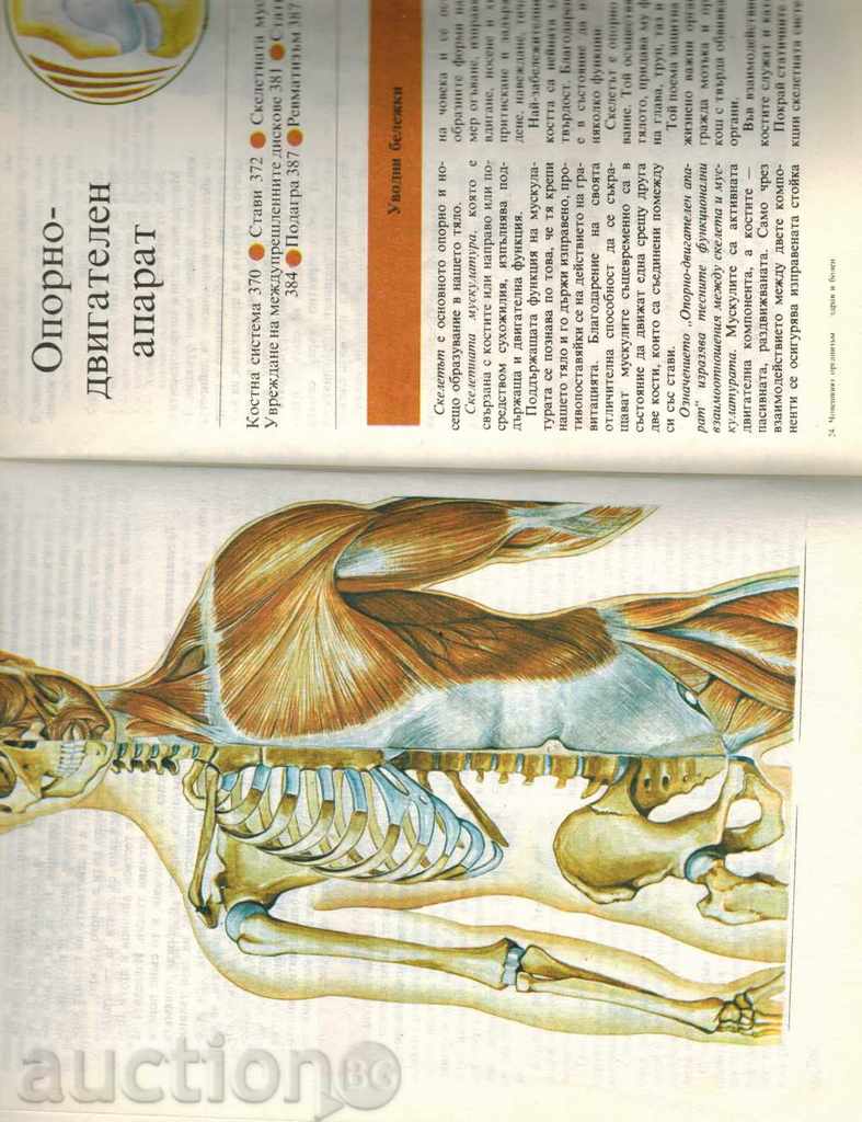 THE HUMAN ORGANISM - HEALTH AND BABY - D. KUNJELL - 5 THE HUMAN ORGANISM - HEALTH AND BABY - D. KUNJELL - 5