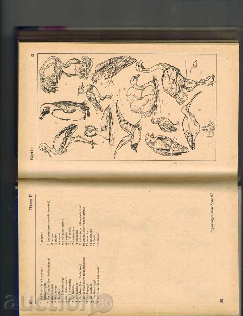 Delivery of ILLUSTRATED GLOSSARY OF GERMAN AND BULGARIAN LANGUAGE