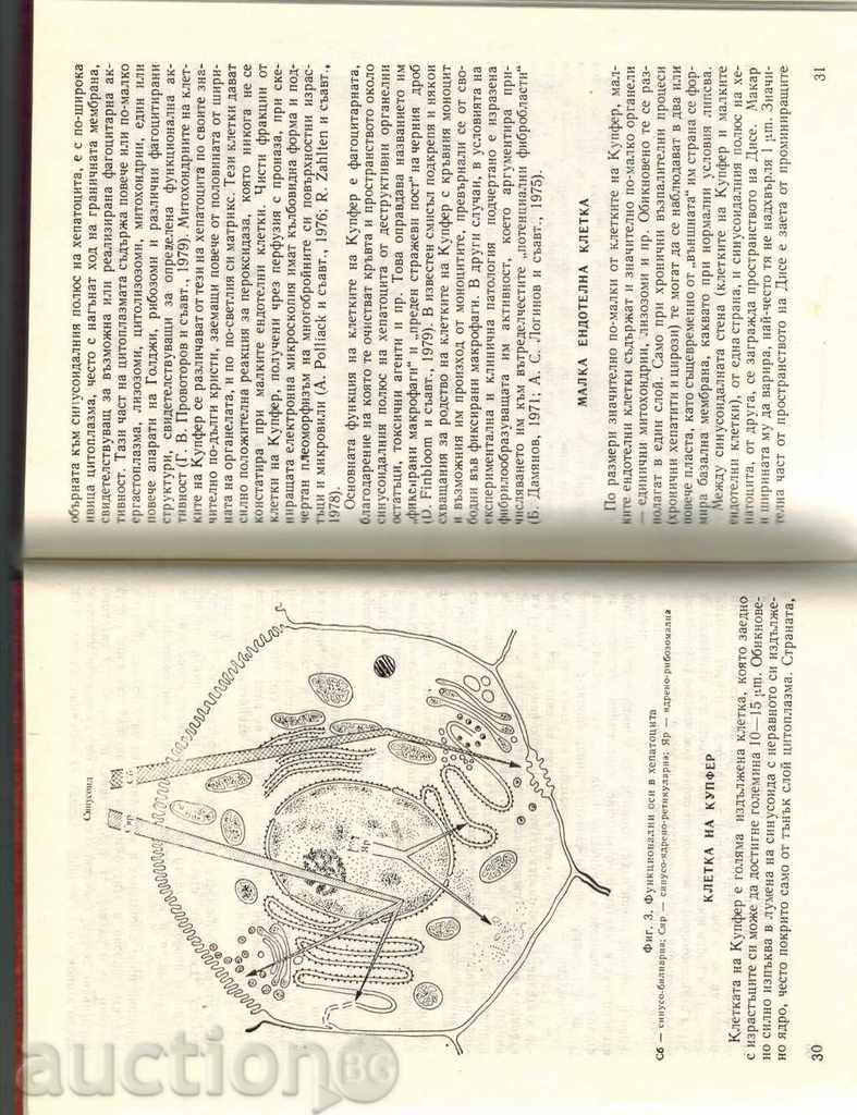 Auction CROSS-BORDER CHRONIC DIAGNOSIS Auction CROSS-BORDER CHRONIC DIAGNOSIS
