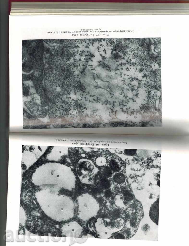 Delivery of CROSS-BORDER CHRONIC DIAGNOSIS Delivery of CROSS-BORDER CHRONIC DIAGNOSIS