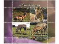Καθαρίστε Antelope μπλοκ 2011 Τζιμπουτί