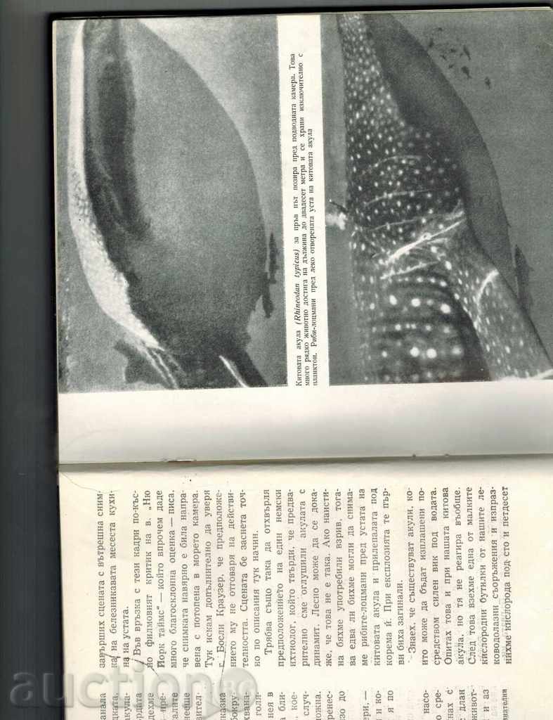 Auction WE GO TO THE SEA - HANS HOUSE 1966 Auction WE GO TO THE SEA - HANS HOUSE 1966