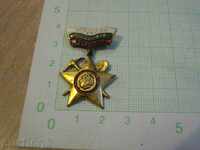 Brigadier badge