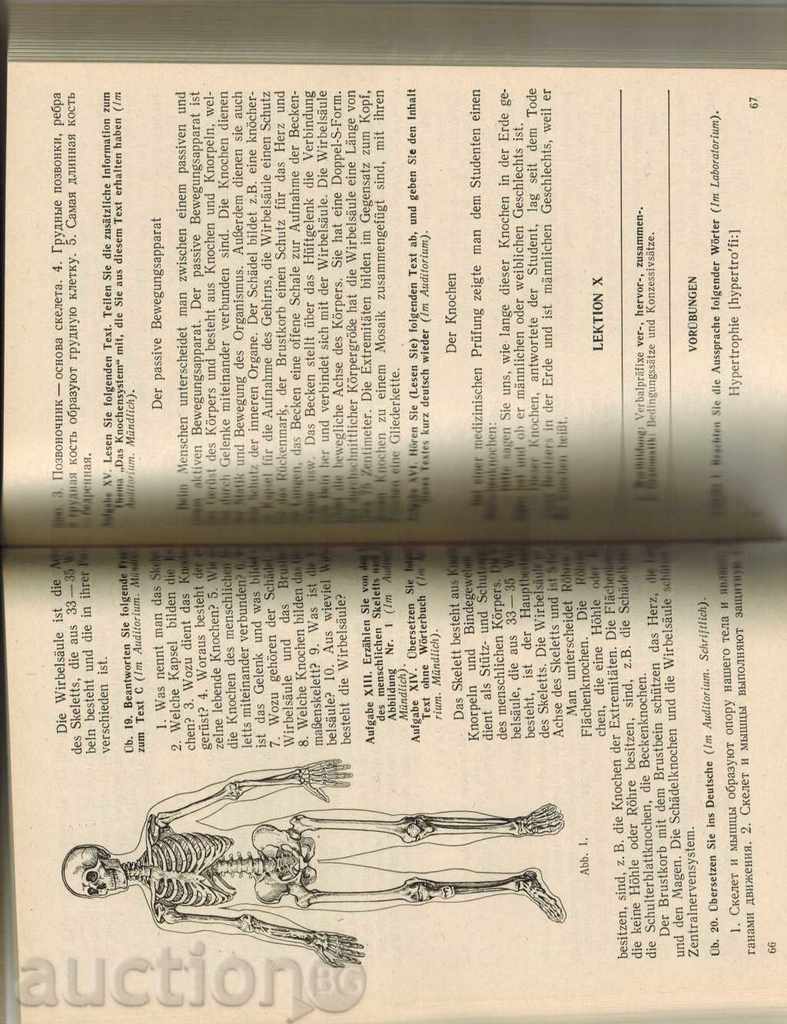 Auction CHRISTMAS NEMECKOZKA JAZIKA DLY MEDICAL VUZOV - IN RUSSIAN Auction CHRISTMAS NEMECKOZKA JAZIKA DLY MEDICAL VUZOV - IN RUSSIAN