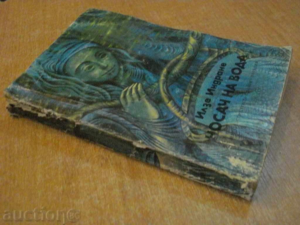 Book "Water Carrier - Ilse Indran" - 352 pages - 6 Book "Water Carrier - Ilse Indran" - 352 pages - 6