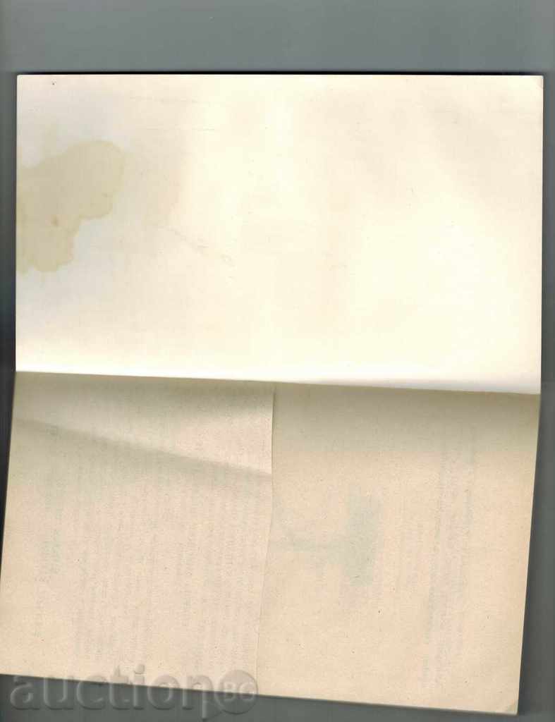 Auction ONE SUMMER NIGHT - VANDA BONTA Auction ONE SUMMER NIGHT - VANDA BONTA