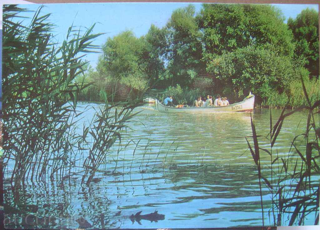 River Kamchia - 1978