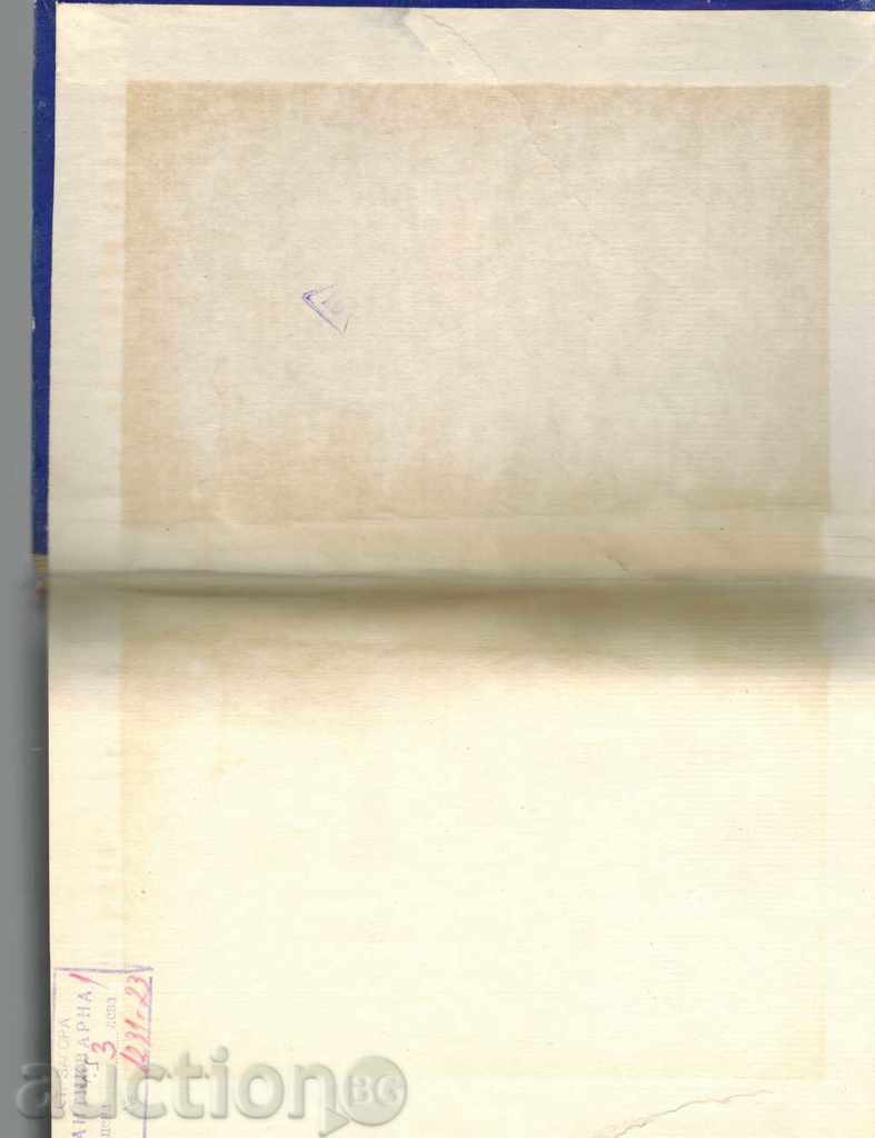 Delivery of SEARCHERS OF ADVENTURES - KIRIL ANDREEV Delivery of SEARCHERS OF ADVENTURES - KIRIL ANDREEV