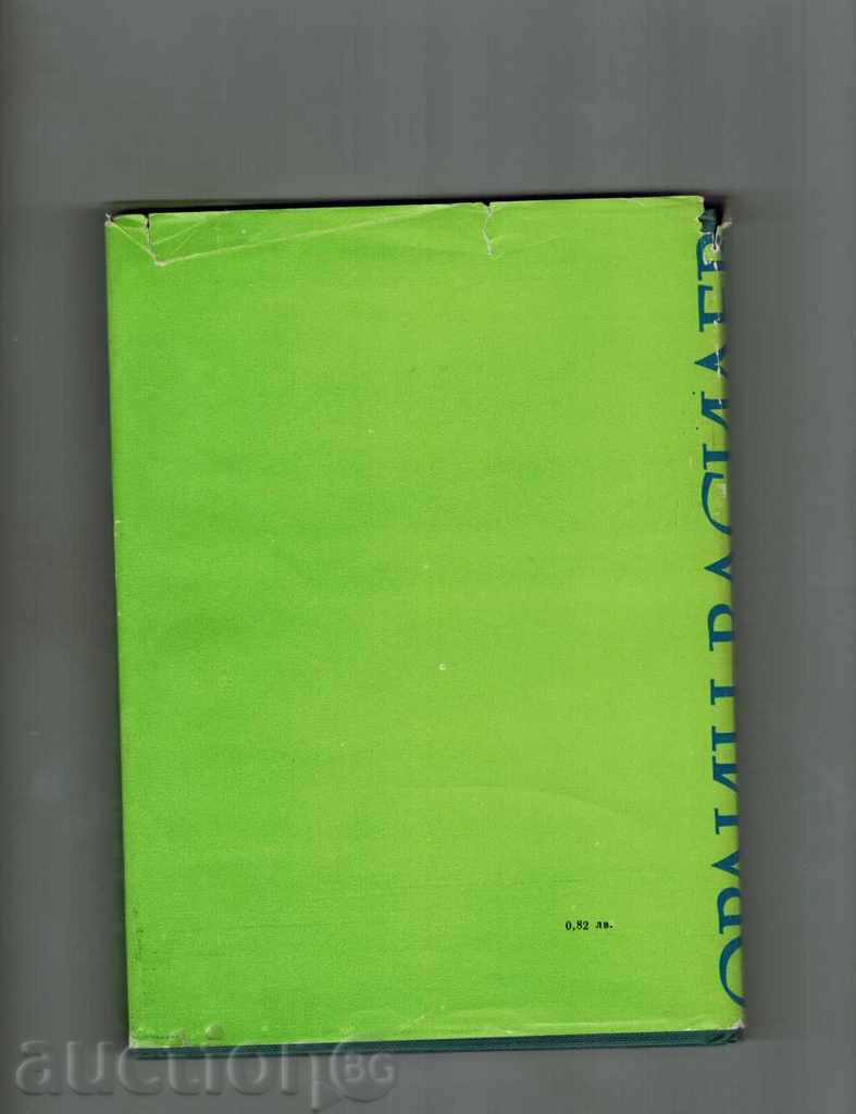 THE WOODS, TIPS, PIECES - ORLIN VASILEV with price 4.00 BGN | € 2.05 THE WOODS, TIPS, PIECES - ORLIN VASILEV with price 4.00 BGN | € 2.05