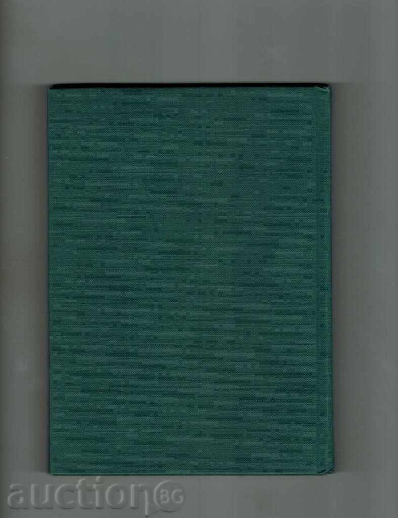 Delivery of THE WOODS, TIPS, PIECES - ORLIN VASILEV Delivery of THE WOODS, TIPS, PIECES - ORLIN VASILEV