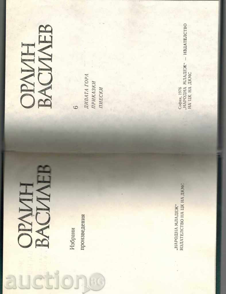 THE WOODS, TIPS, PIECES - ORLIN VASILEV - 5 THE WOODS, TIPS, PIECES - ORLIN VASILEV - 5