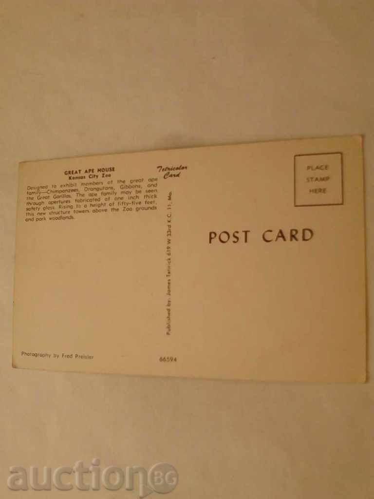 Postcard Kansas City Zoo with price 0.55 BGN | € 0.28 Postcard Kansas City Zoo with price 0.55 BGN | € 0.28