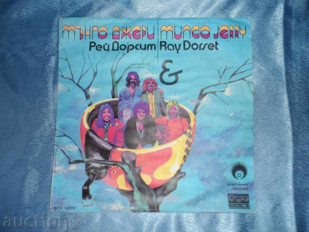 MANGO JERRY - μεγάλο πιάτο MANGO JERRY - μεγάλο πιάτο