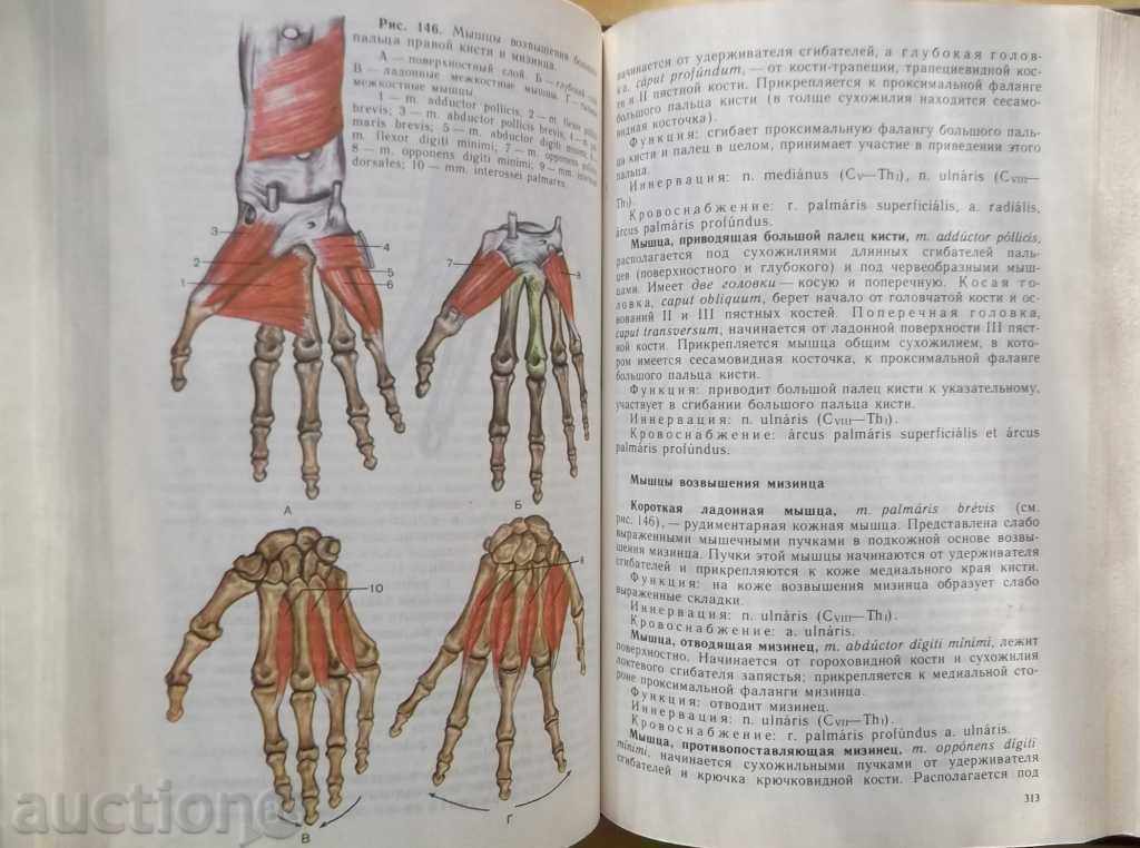 Delivery of Human anatomy. Volume 1-2 E. Borzyak and others. 1993 Delivery of Human anatomy. Volume 1-2 E. Borzyak and others. 1993
