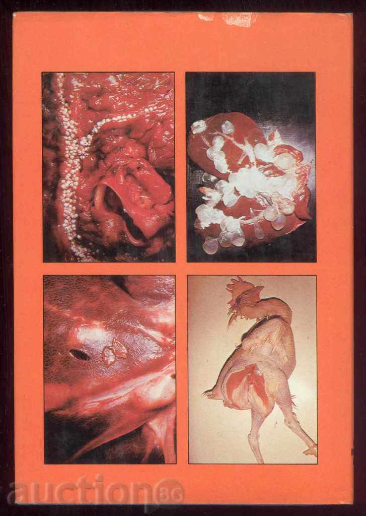 A Color Atlas of Meat and Poultry Inspection with price 30.00 BGN | € 15.34 A Color Atlas of Meat and Poultry Inspection with price 30.00 BGN | € 15.34