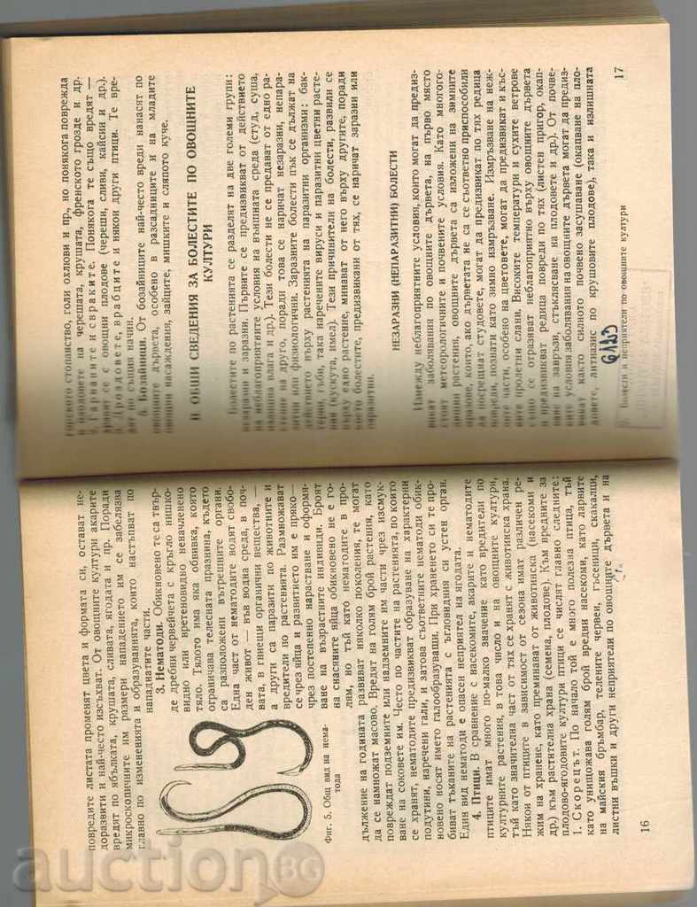 БОЛЕСТИ И НЕПРИЯТЕЛИ ПО ОВОЩНИТЕ КУЛТУРИ - А. ЛАЗАРОВ И ДР. - 5 БОЛЕСТИ И НЕПРИЯТЕЛИ ПО ОВОЩНИТЕ КУЛТУРИ - А. ЛАЗАРОВ И ДР. - 5