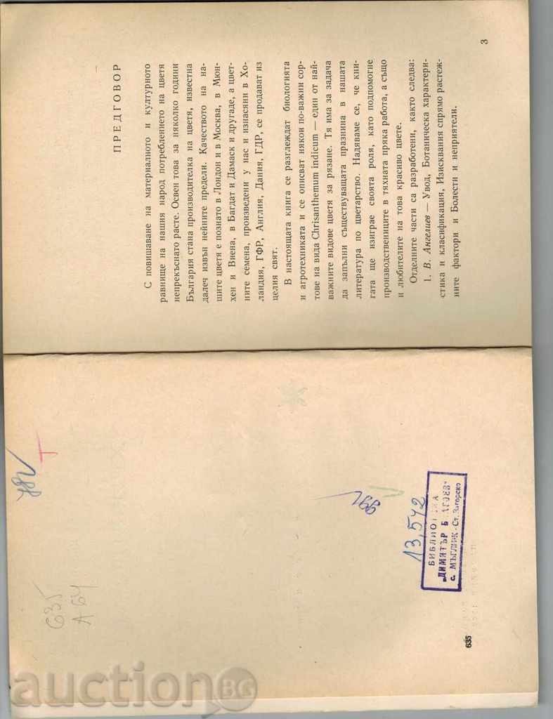 Auction CHRISANTEMI - V. ANGELIEV AND OTHERS. Auction CHRISANTEMI - V. ANGELIEV AND OTHERS.