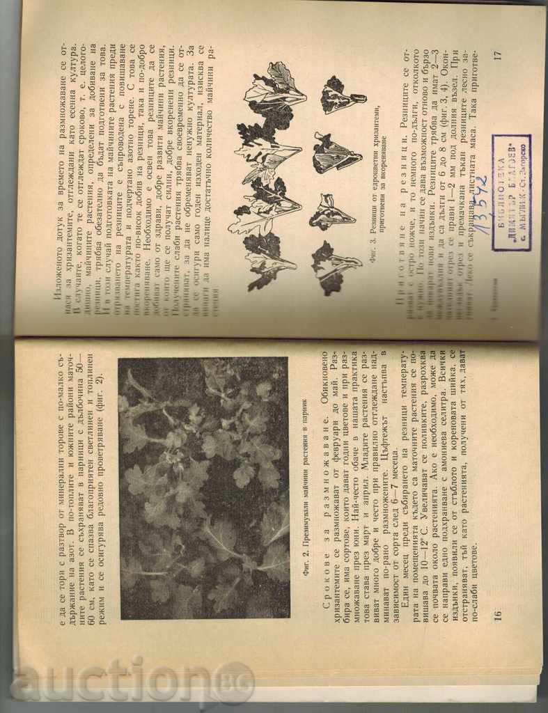 Delivery of CHRISANTEMI - V. ANGELIEV AND OTHERS. Delivery of CHRISANTEMI - V. ANGELIEV AND OTHERS.