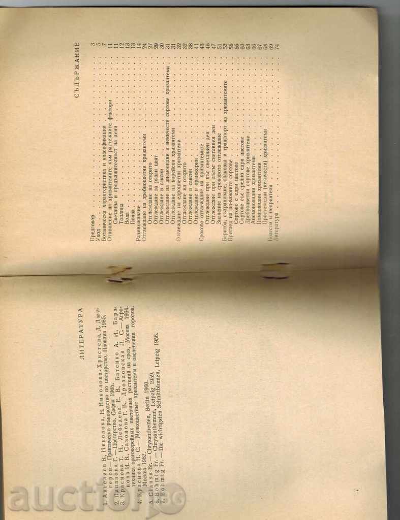 CHRISANTEMI - V. ANGELIEV AND OTHERS. - 5 CHRISANTEMI - V. ANGELIEV AND OTHERS. - 5