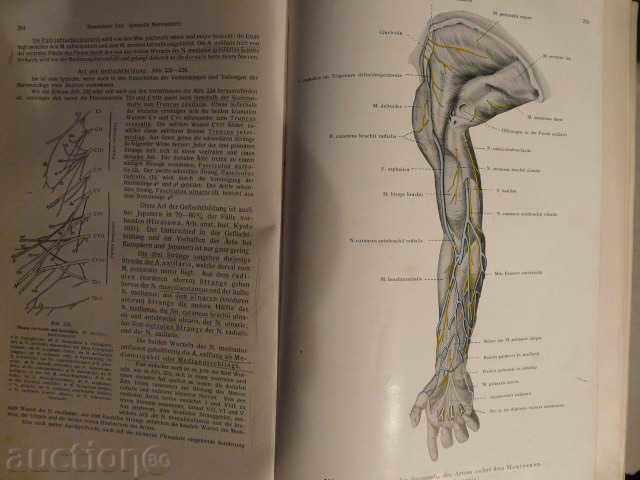 Delivery of Old German anatomical atlas-1940 Delivery of Old German anatomical atlas-1940