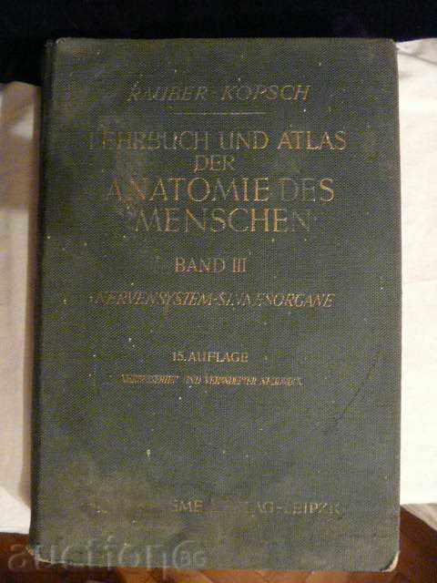 Old German anatomical atlas-1940