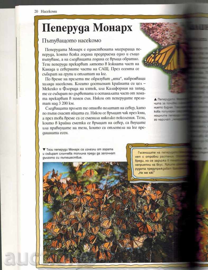 Auction 100 MOST WONDERFUL ANIMALS ON THE EARTH - ANDRY CHARMMAN Auction 100 MOST WONDERFUL ANIMALS ON THE EARTH - ANDRY CHARMMAN