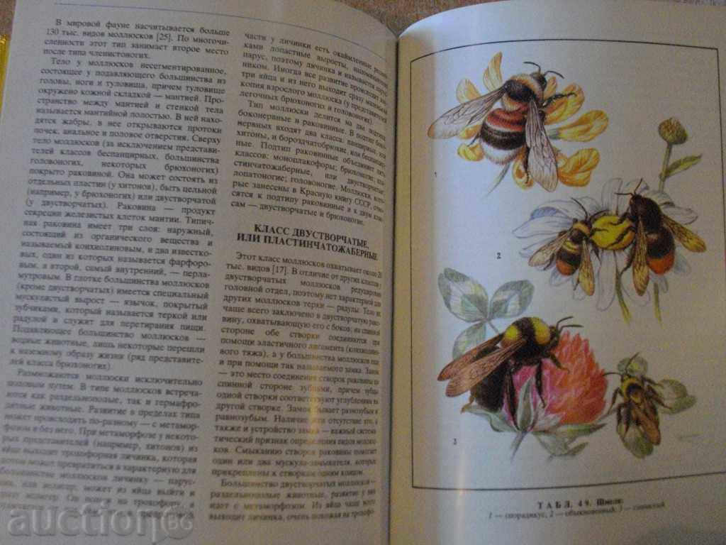 Delivery of Book "Rédéque беспозвоночные животные-Н.Кочетова" - 208 pages Delivery of Book "Rédéque беспозвоночные животные-Н.Кочетова" - 208 pages