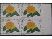 4150-4155 Roses -carbamic