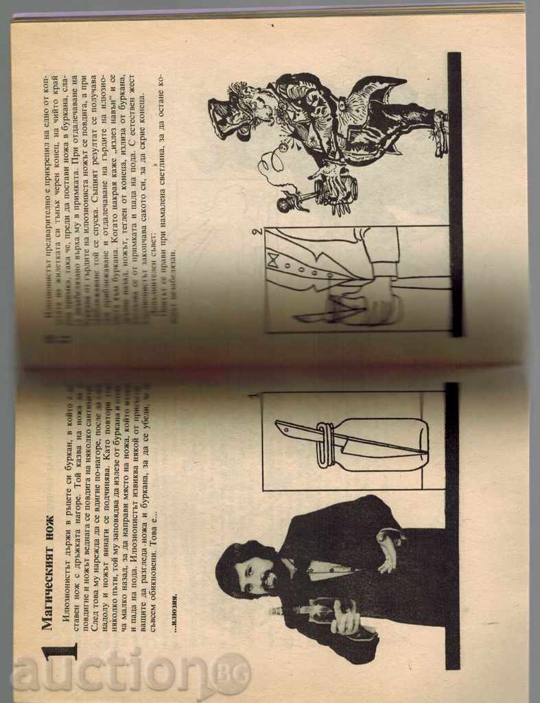 Auction  DELAY FOCUSS AND ILLUSION - HOPE PETROVA, BOJIDAR ILIEV