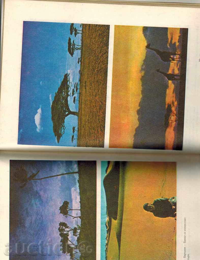 THE WHITE PLATES ON THE PLANET - N. RASHEV - 6