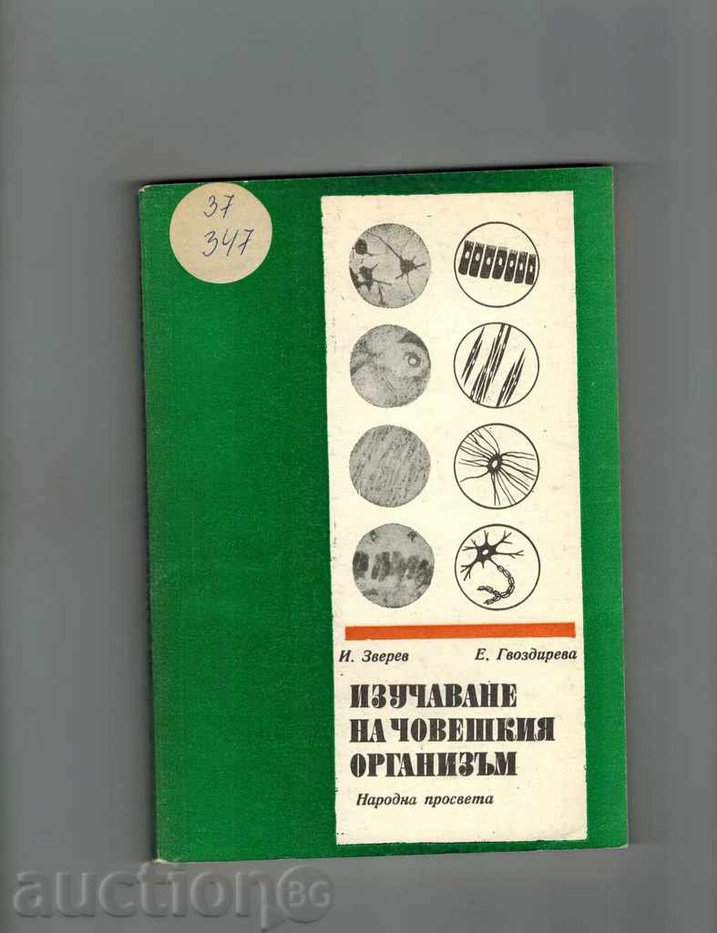 LEARNING OF THE HUMAN ORGANISM - I. ZVEREV; E. GROZDIEVA
