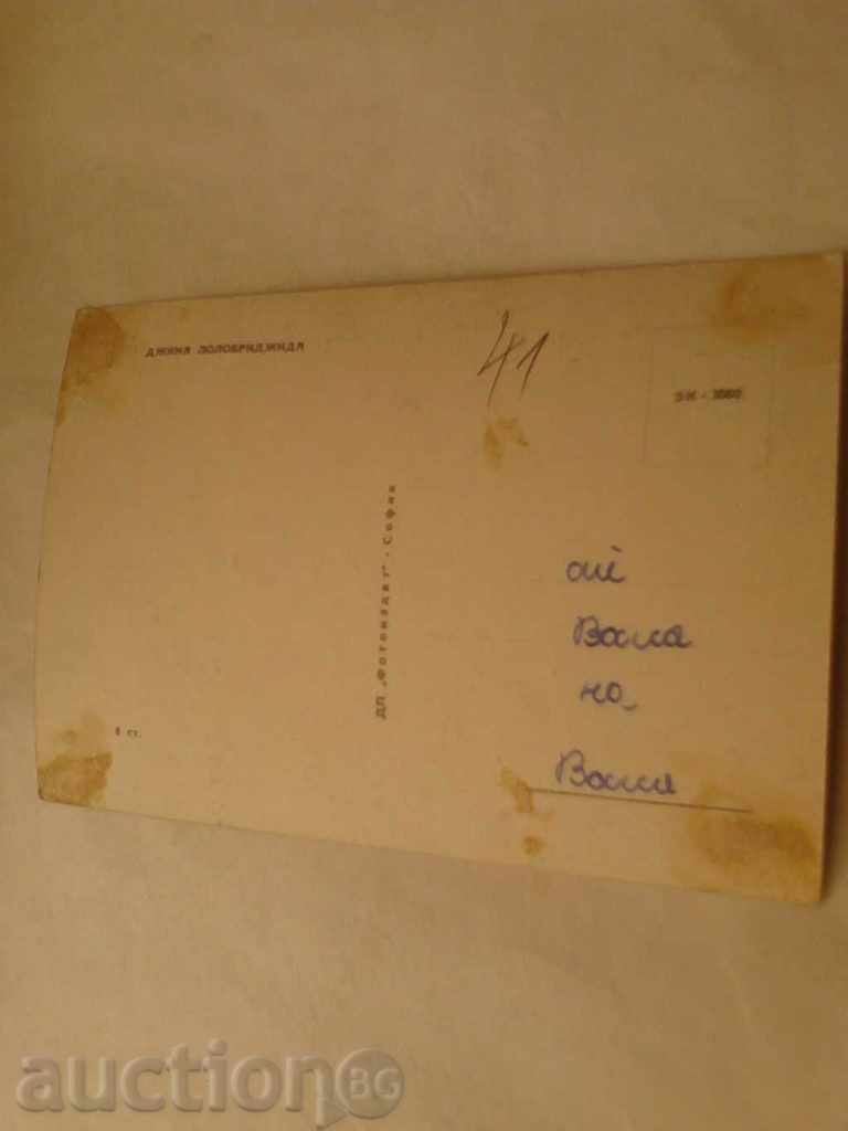 Postcard Gina Lollobridge 2 with price 0.45 BGN | € 0.23 Postcard Gina Lollobridge 2 with price 0.45 BGN | € 0.23