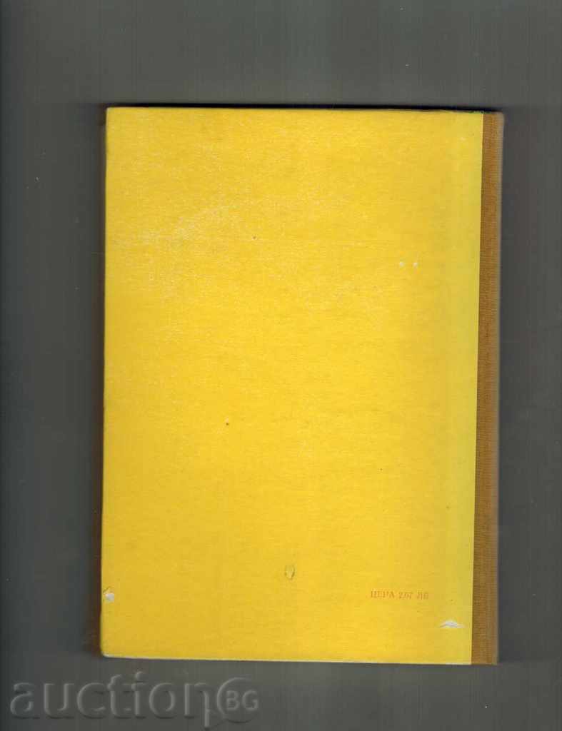 Delivery of CUTTING OF KNIGHT AND SMALL CHILD