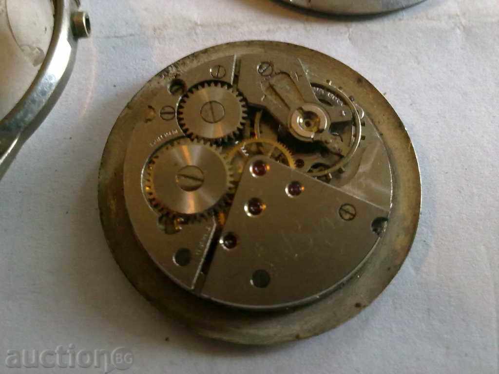 ANY WAXER with price 10.00 BGN | € 5.11 ANY WAXER with price 10.00 BGN | € 5.11