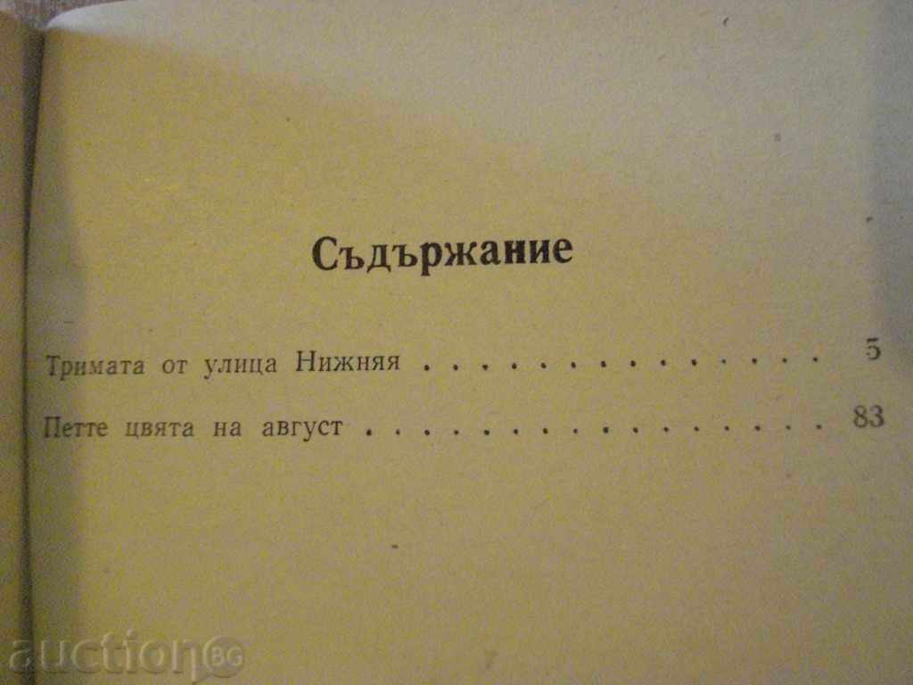 Delivery of The book "The Three of Nižniaa Street - Anatoly Chastin" - 142 p.