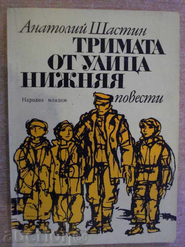 The book "The Three of Nižniaa Street - Anatoly Chastin" - 142 p.