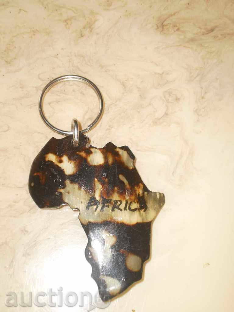 Keystone-camel bone-Africa-1 with price 11.00 BGN | € 5.62 Keystone-camel bone-Africa-1 with price 11.00 BGN | € 5.62