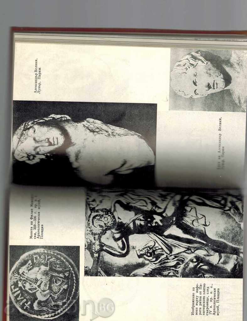 DRIVING WITH DIAGEN - BOYAN BOLGAR - 5