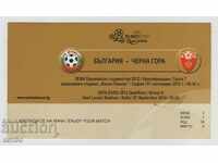 Футболен билет/пропуск България-Черна гора 2010