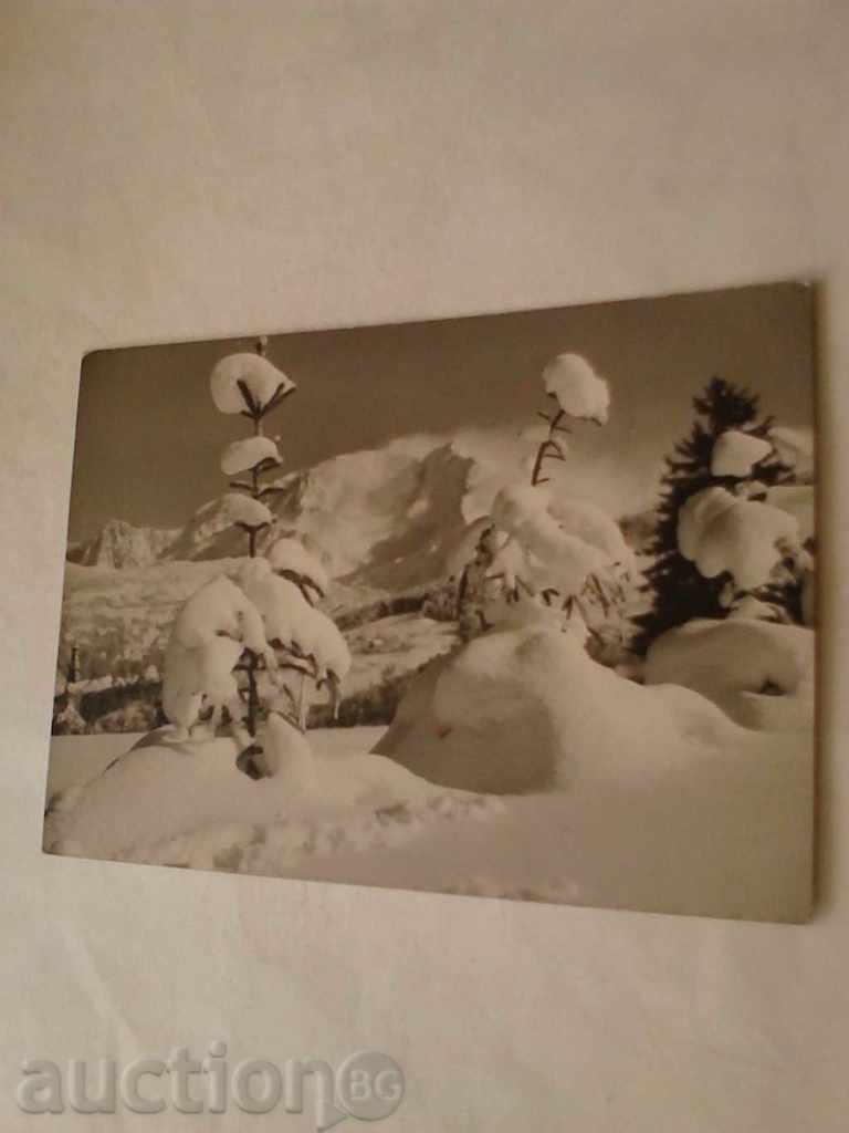 Alpi Mont Blanc Postcard