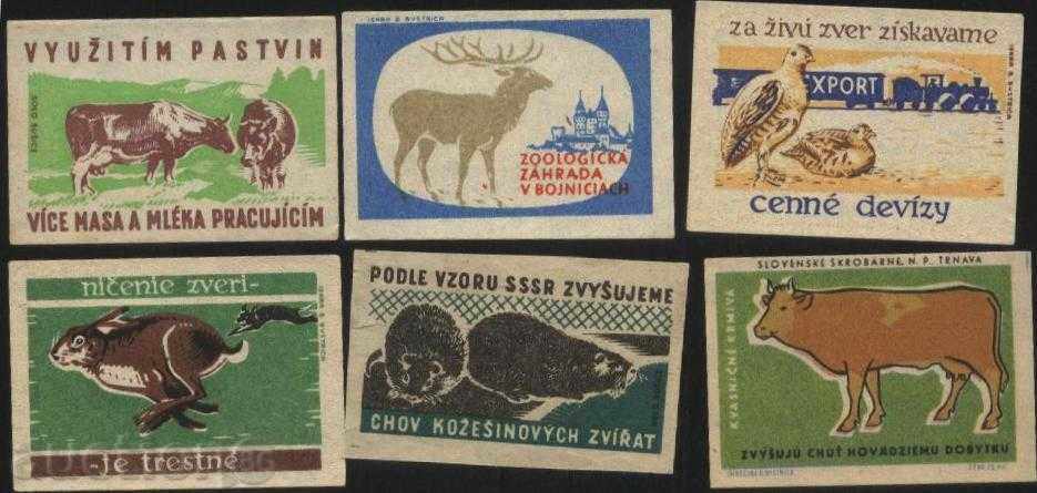 6 кибритени етикети Фауна от Чехословакия лот 1030