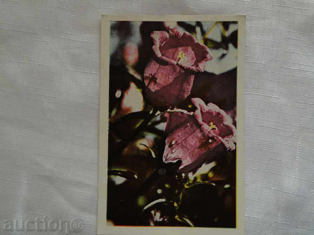 Bell κάρτα λουλούδι