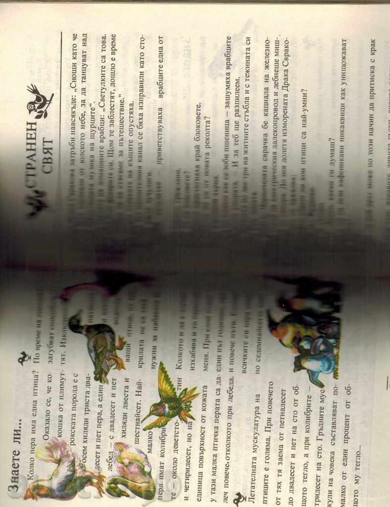 Delivery of VRABCHO, HEAD OF FAMILY - E. GEORGIEV; D. NEDIALKOVA