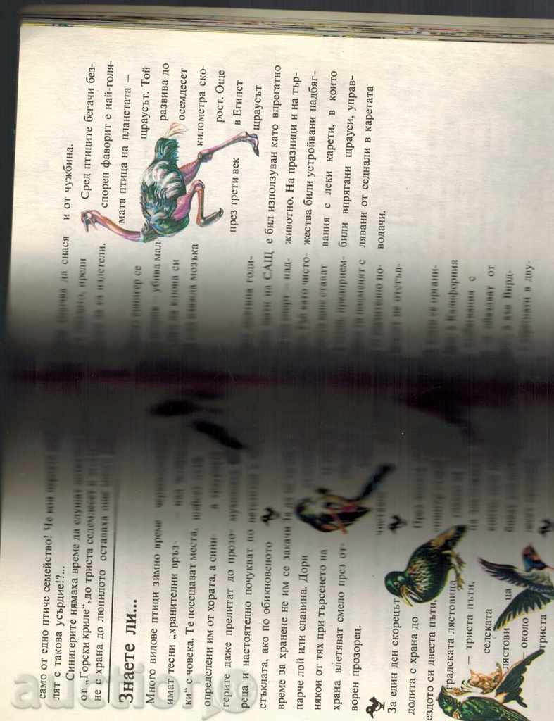 VRABCHO, HEAD OF FAMILY - E. GEORGIEV; D. NEDIALKOVA - 5