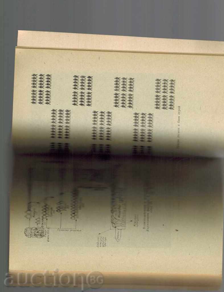 JULY Cezar - ALEXANDER KRAVCHUK - 5 JULY Cezar - ALEXANDER KRAVCHUK - 5