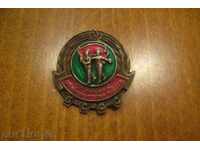 Значка Отличник на физкултурна работа - бронз,емайл