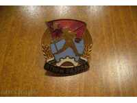 Insigna Rangul II - bronz, email