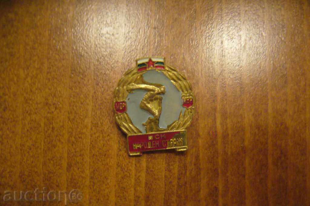Badge National Guard