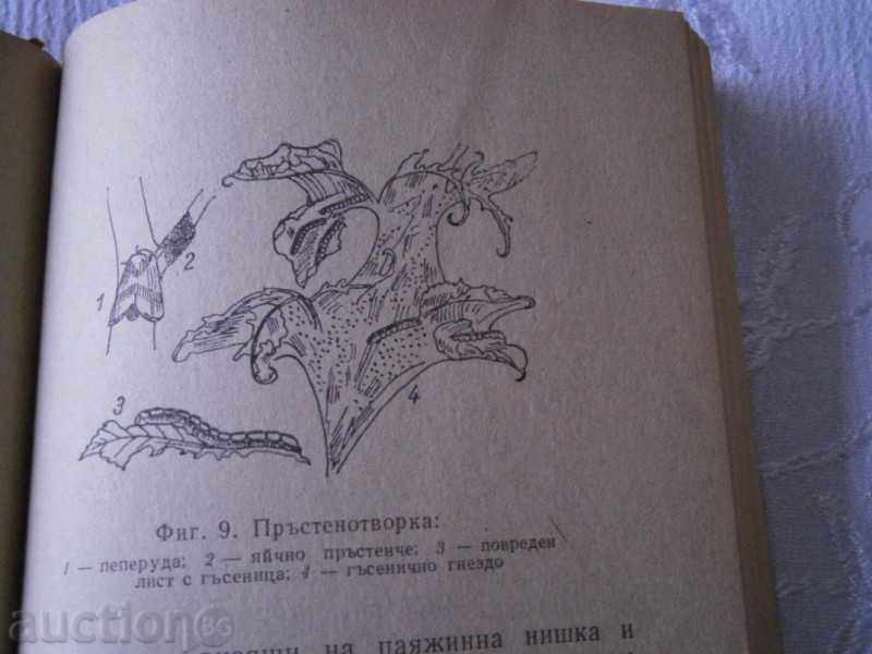 B. VIDENOV - PROTECTION OF PLANT IN THE PERSONAL HOLDING 1975 - 5