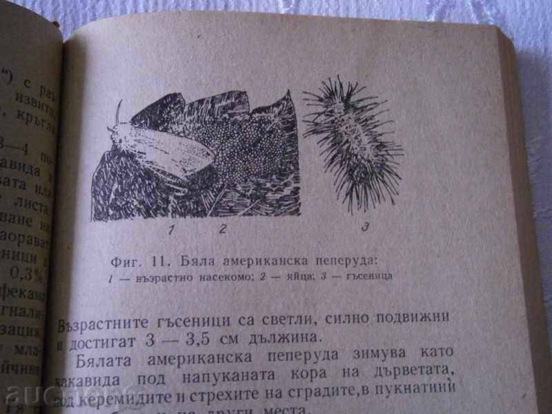 B. VIDENOV - PROTECTION OF PLANT IN THE PERSONAL HOLDING 1975 - 6